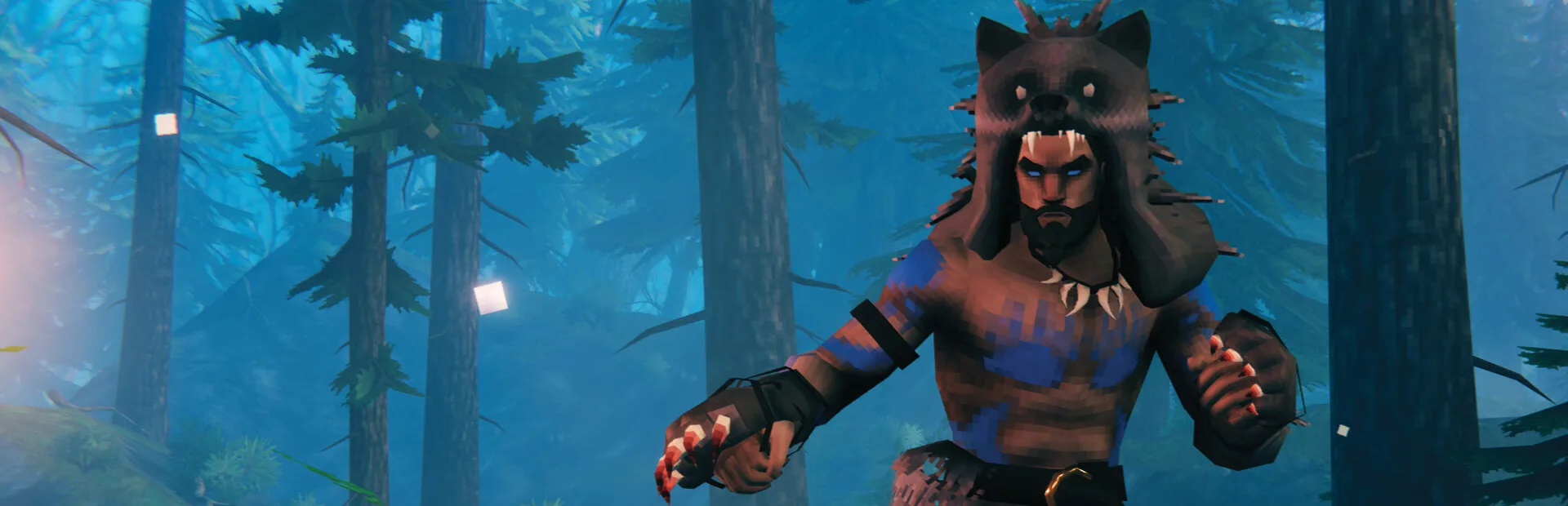 Serveur Valheim